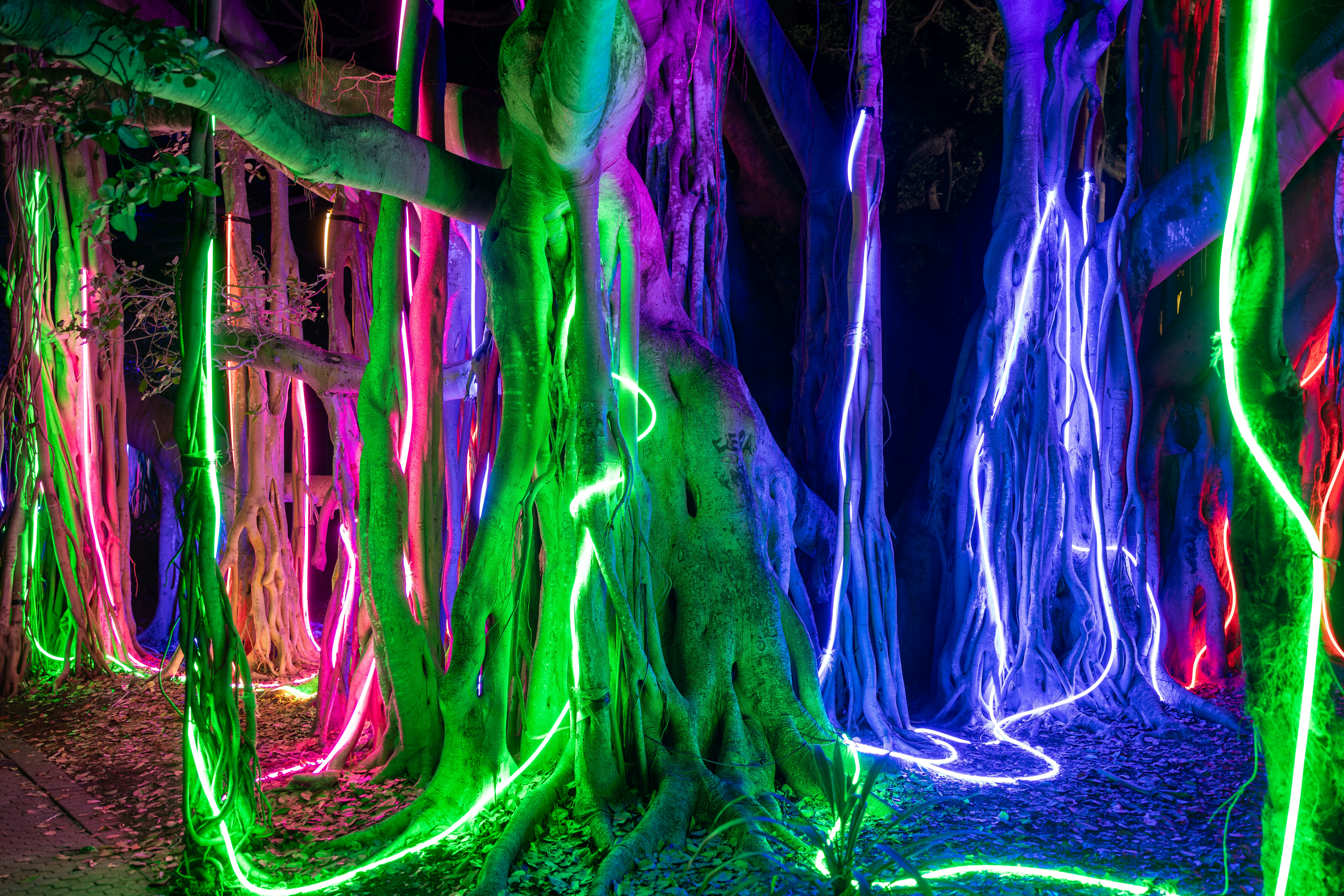 Photo by stephenmabbs