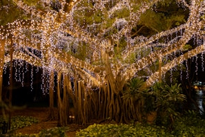 An artistic artificial tree with lights creating a magical ambiance.