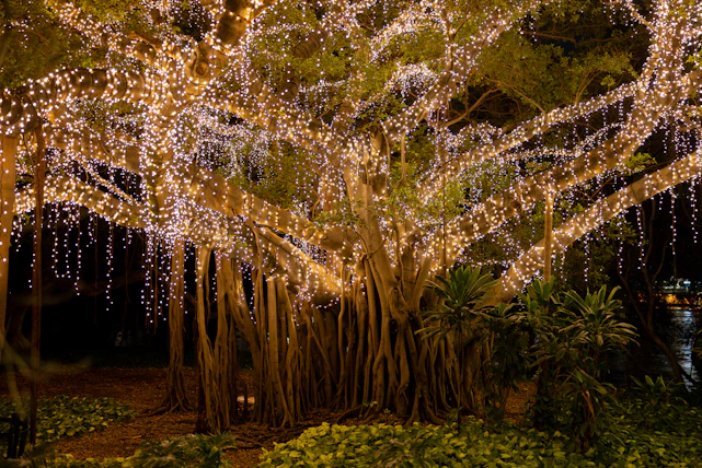 A warm, inviting community gathering around a large digital family tree glowing with vibrant connections.