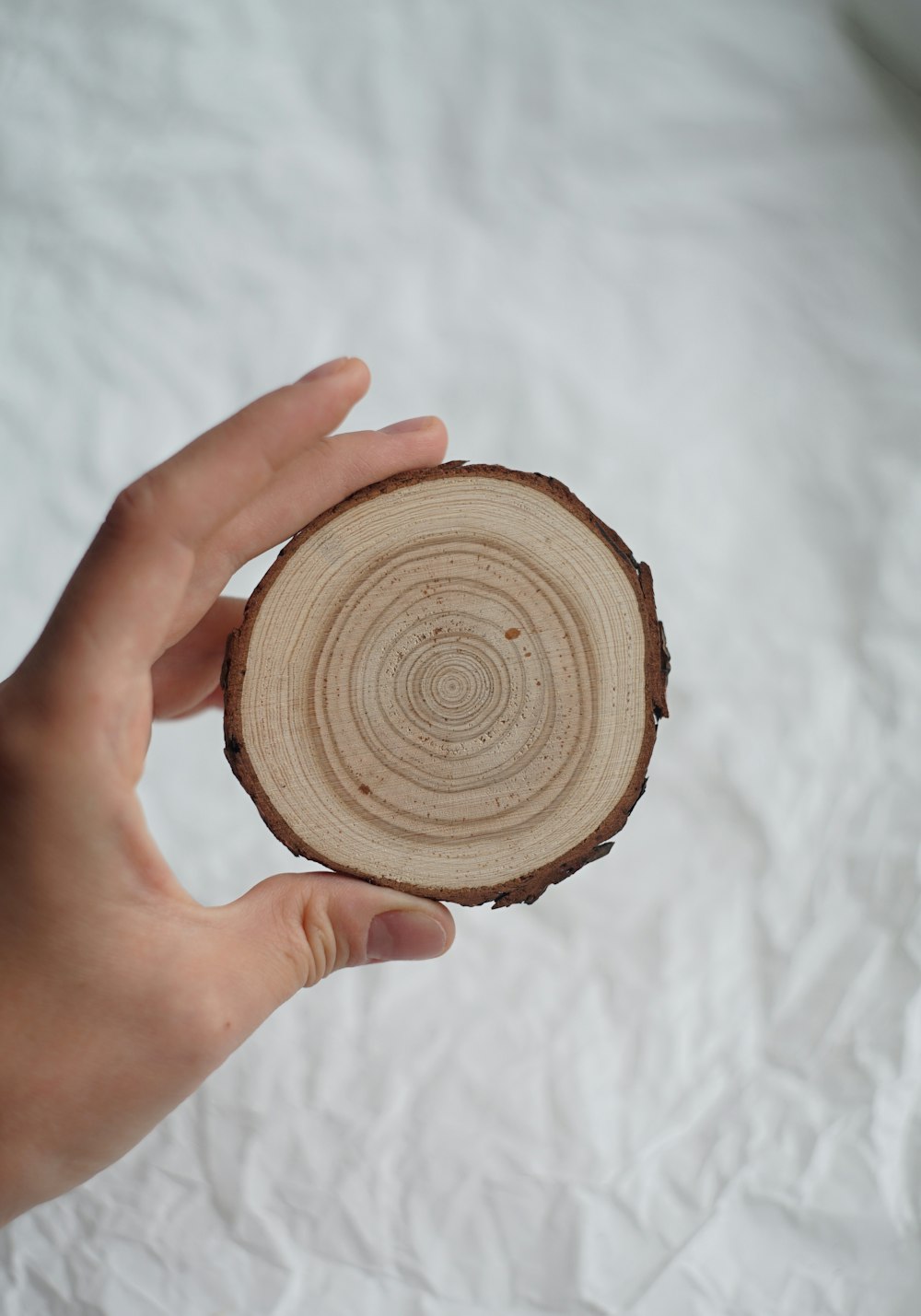 a person holding a piece of wood in their hand