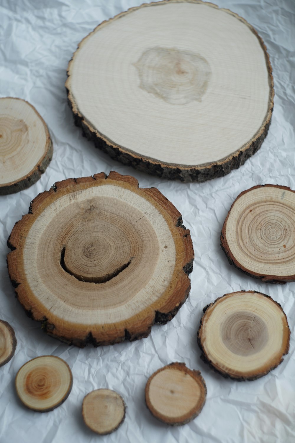 several pieces of wood that have been cut in half