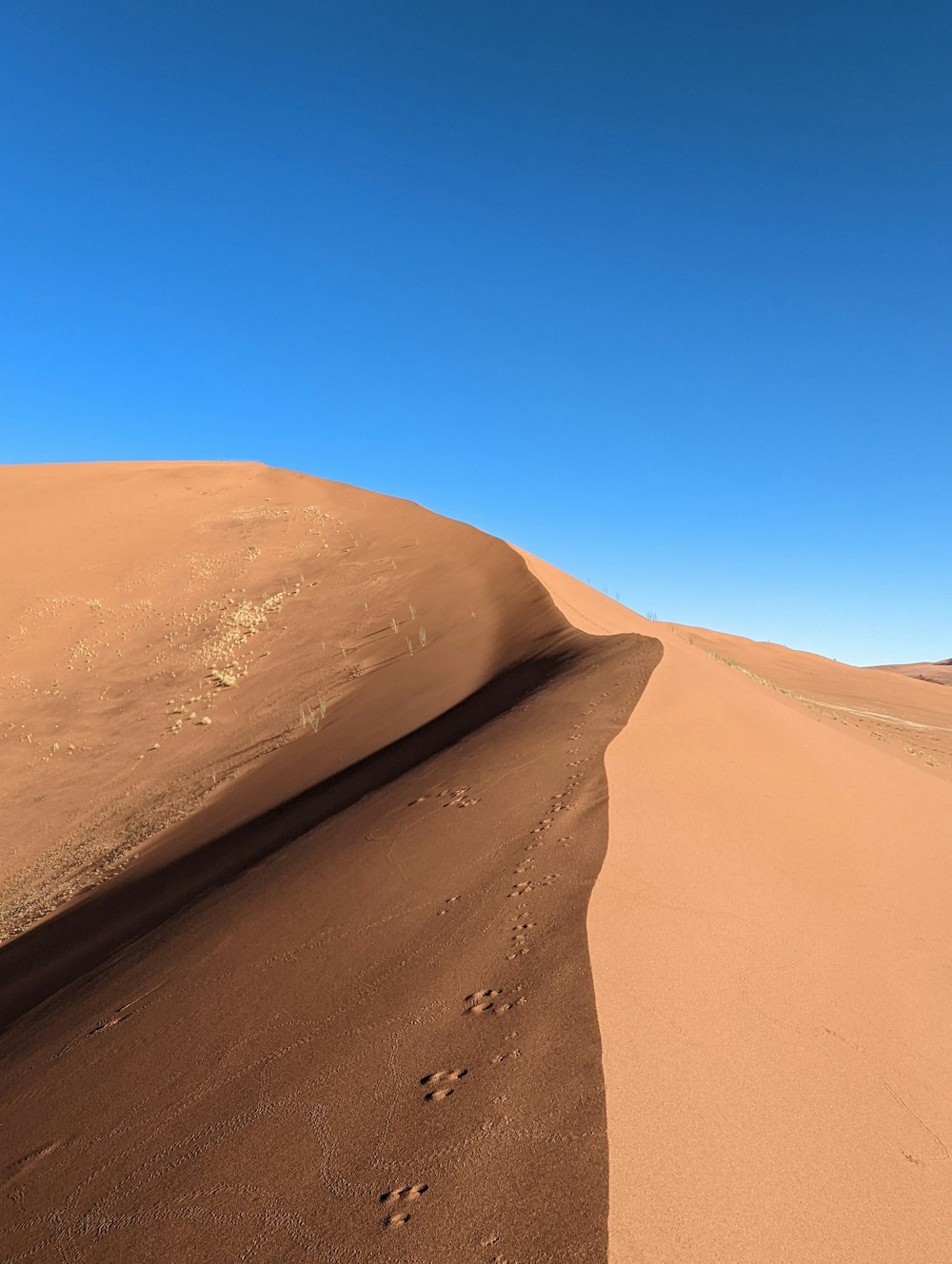 a large sand dune with footprints in the sand