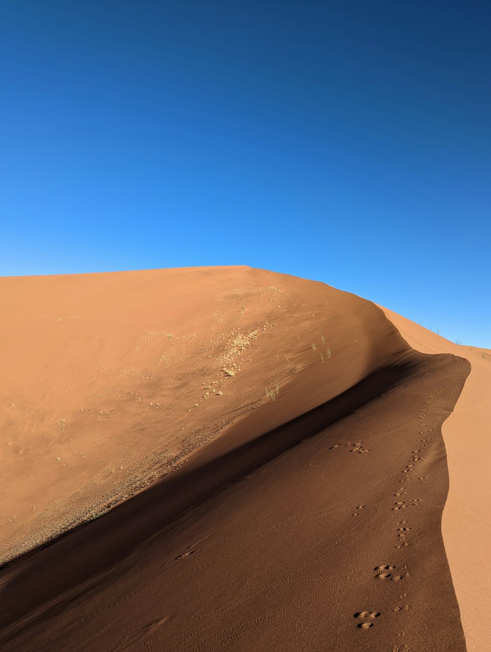 uma grande duna de areia com pegadas na areia