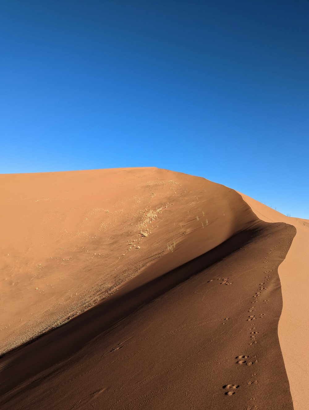 a large sand dune with footprints in the sand