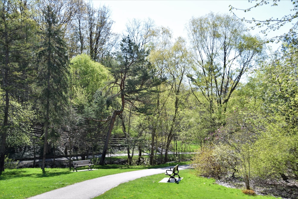 a person sitting on a bench in a park