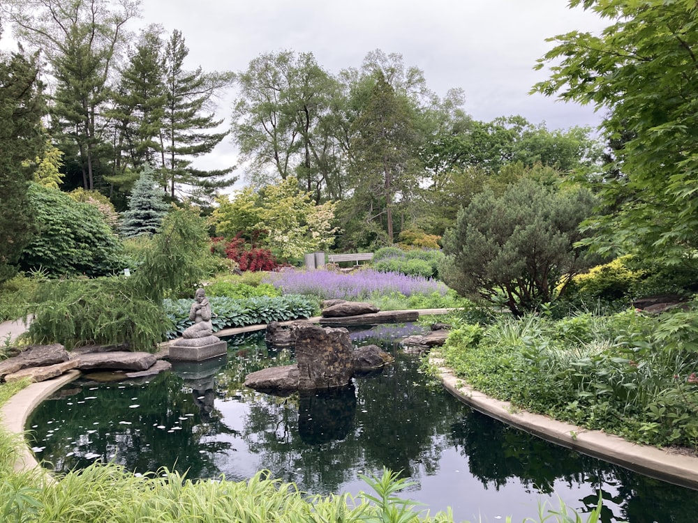 a garden with a pond surrounded by trees