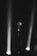 A close-up of a microphone with a dramatic lighting effect, symbolizing the power of voice.