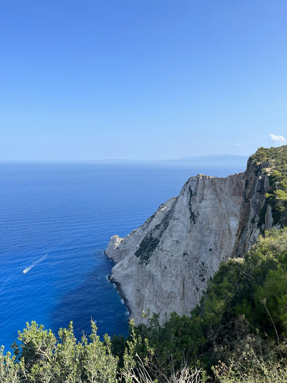 a view of the ocean from the top of a hill