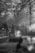 A cracked window with a large fracture dominates the foreground, against a blurred backdrop of a vehicle and a person's silhouette. The scene is captured in black and white, adding a somber, reflective quality to the image.