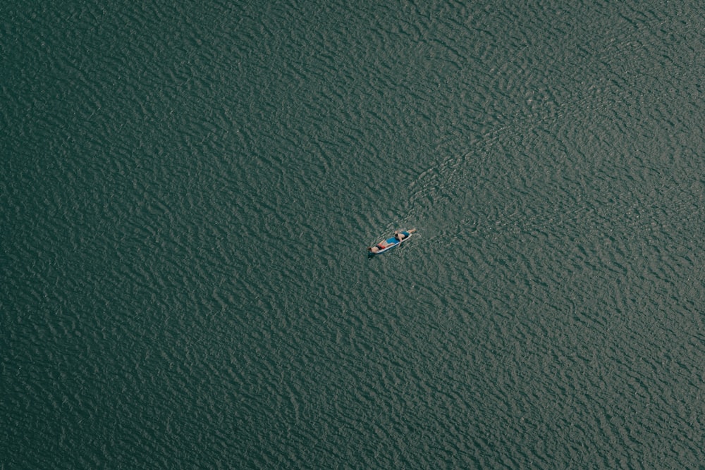 two people in a small boat on a large body of water