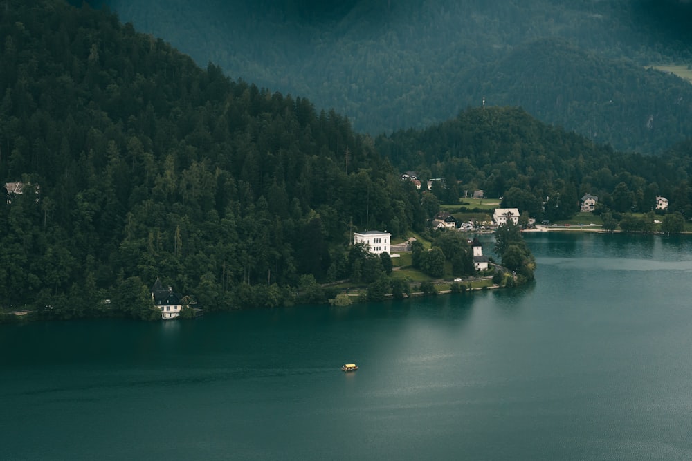 a body of water surrounded by a forest