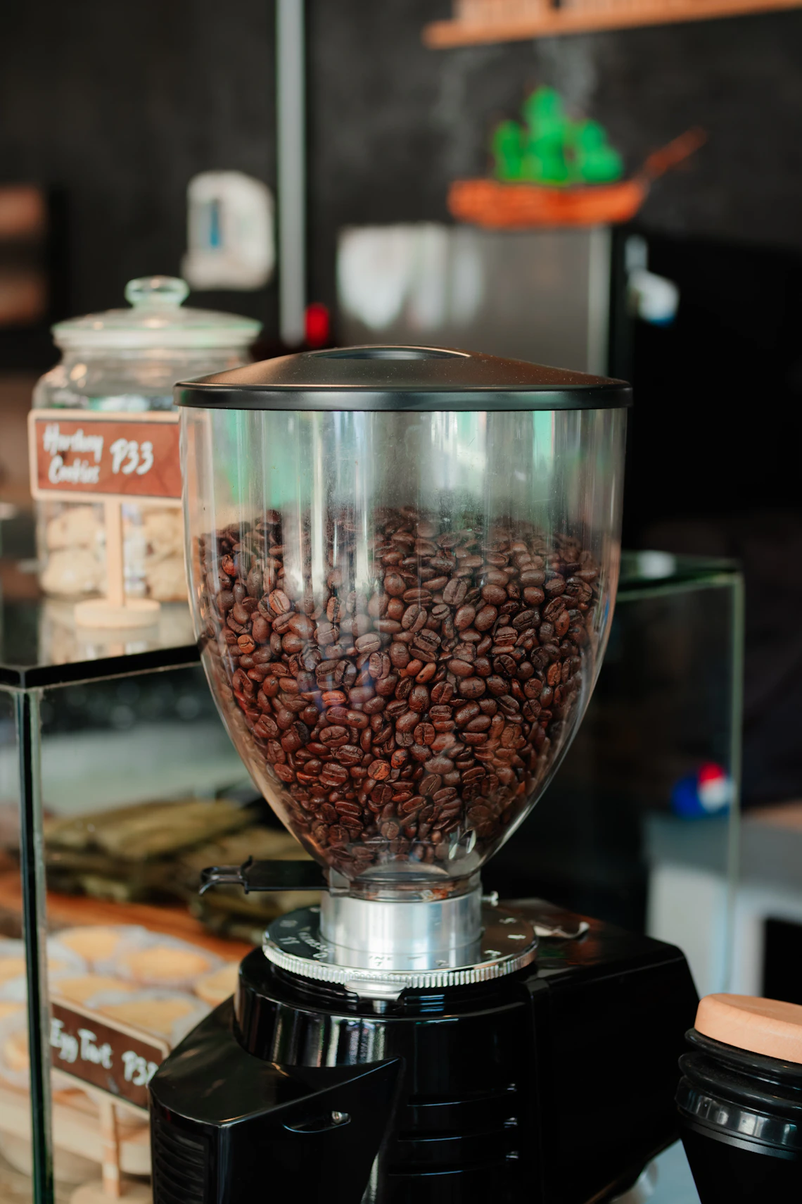 Electric burr coffee grinder filled with roasted coffee beans