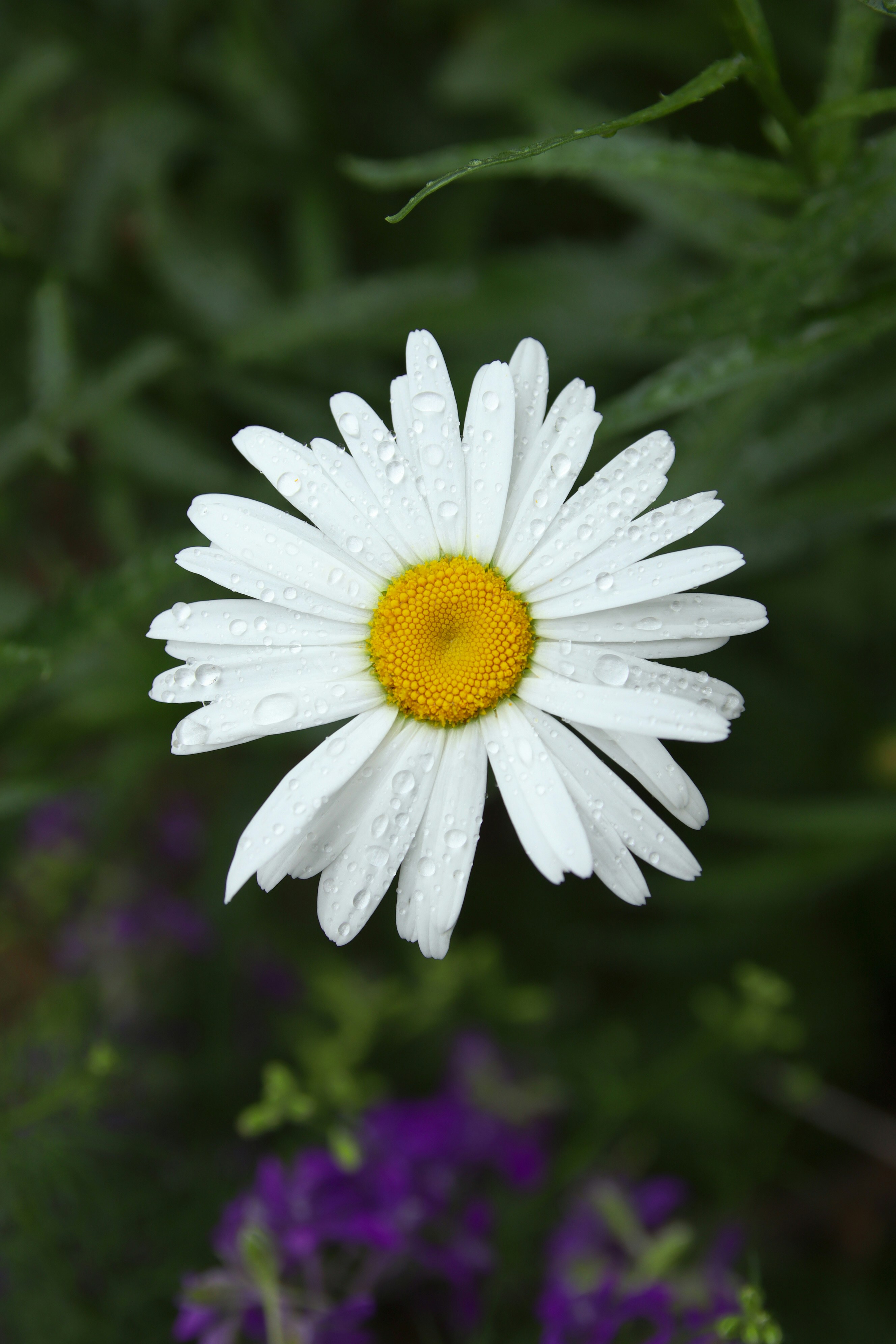 Photo by feeling_hope