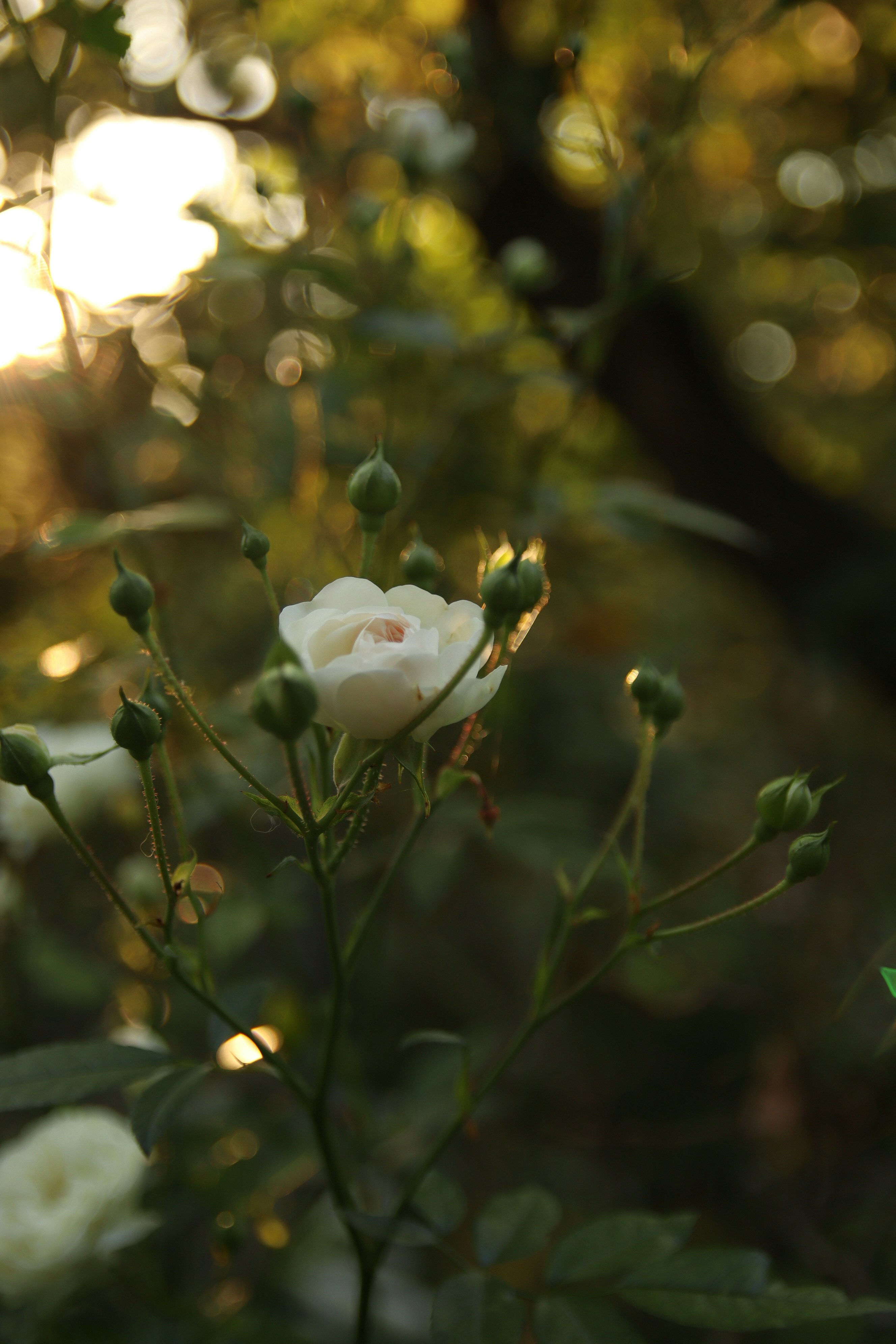 Photo by feeling_hope