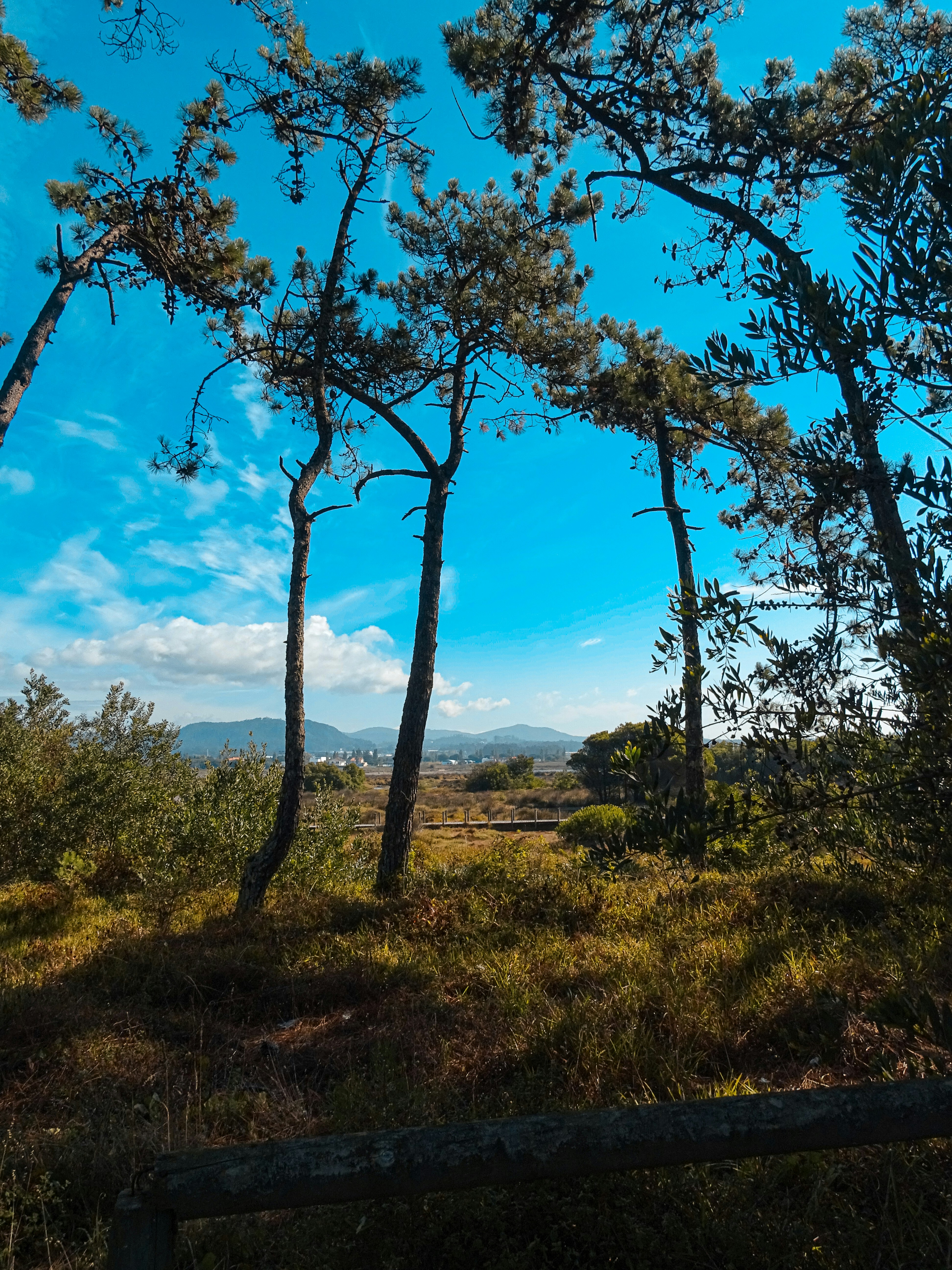 Photo by phozebyzemachado