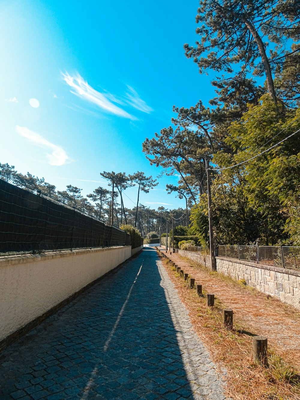 a street lined with trees next to a white wall