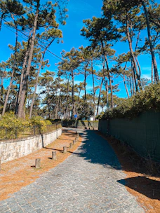 Finished outdoor flooring installed along a scenic walking path surrounded by tall trees.