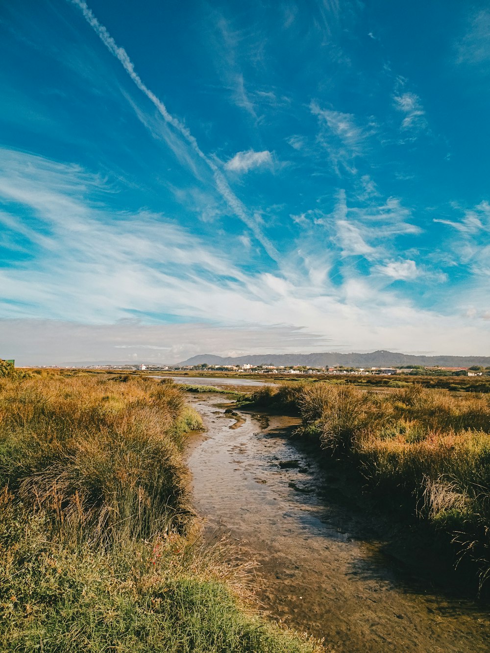 a small stream running through a lush green field