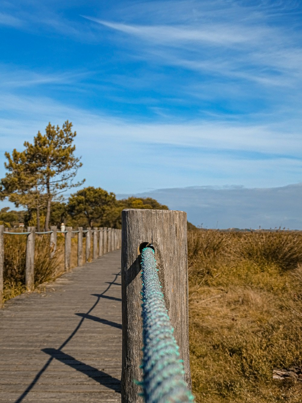 a wooden walkway with a blue rope on it