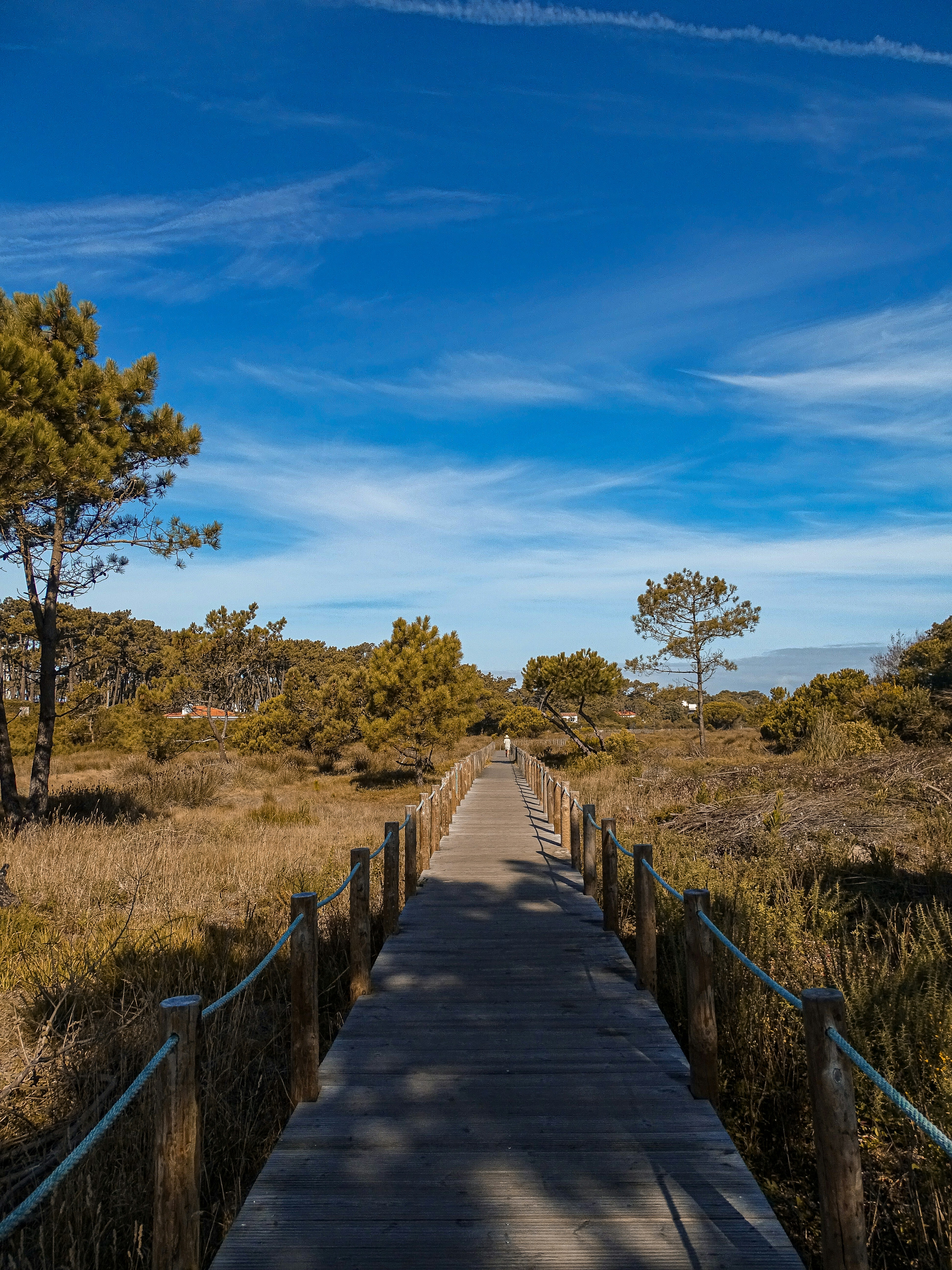 Photo by phozebyzemachado