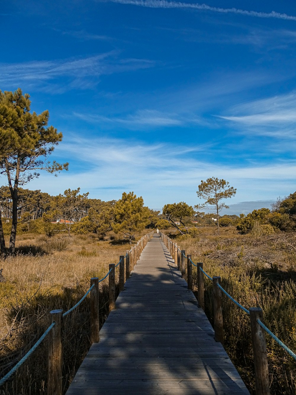 a wooden walkway in the middle of a field