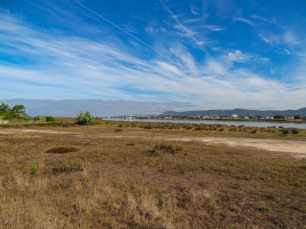 a grassy field with a body of water in the distance