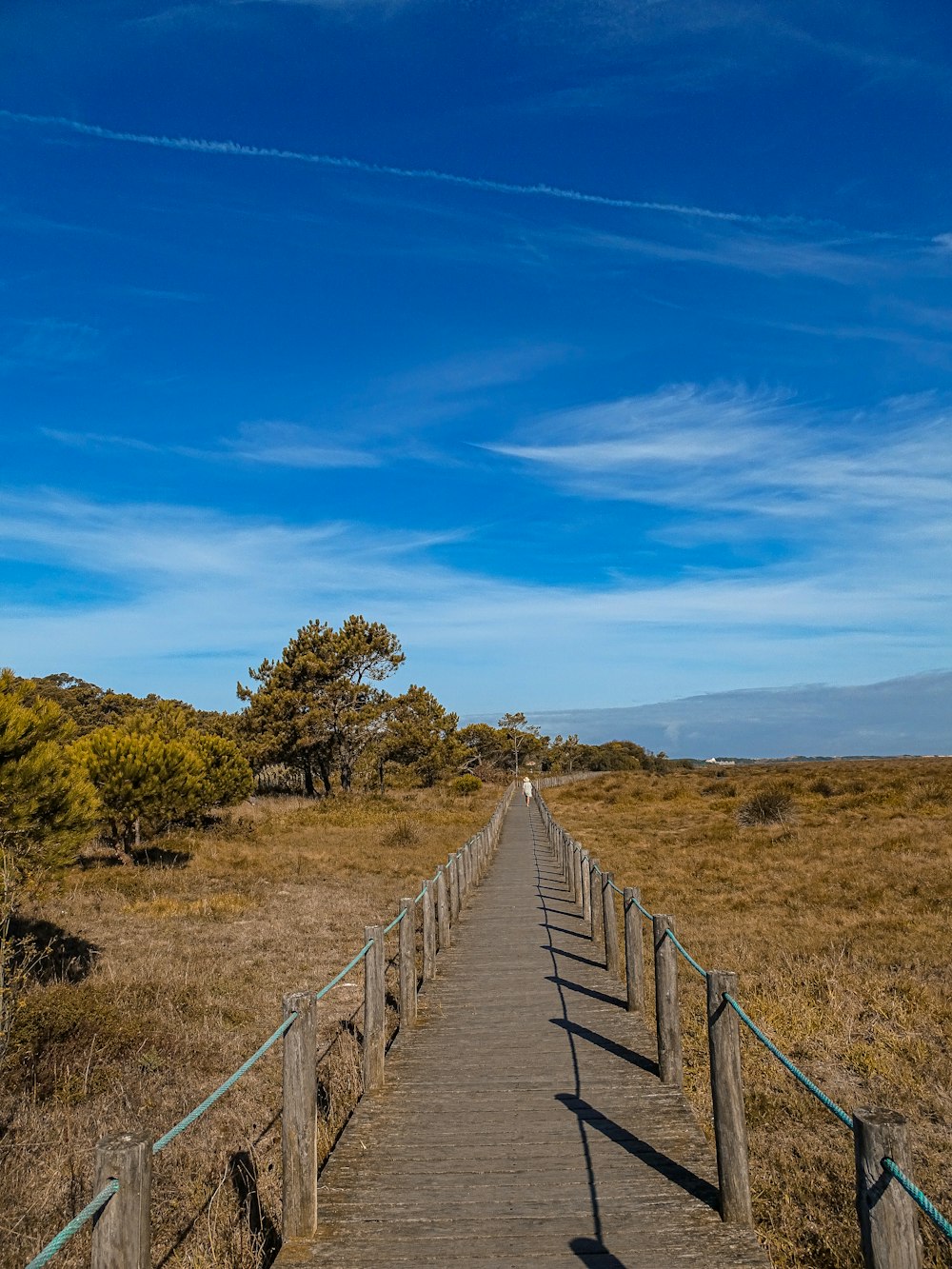 a wooden walkway in the middle of a field