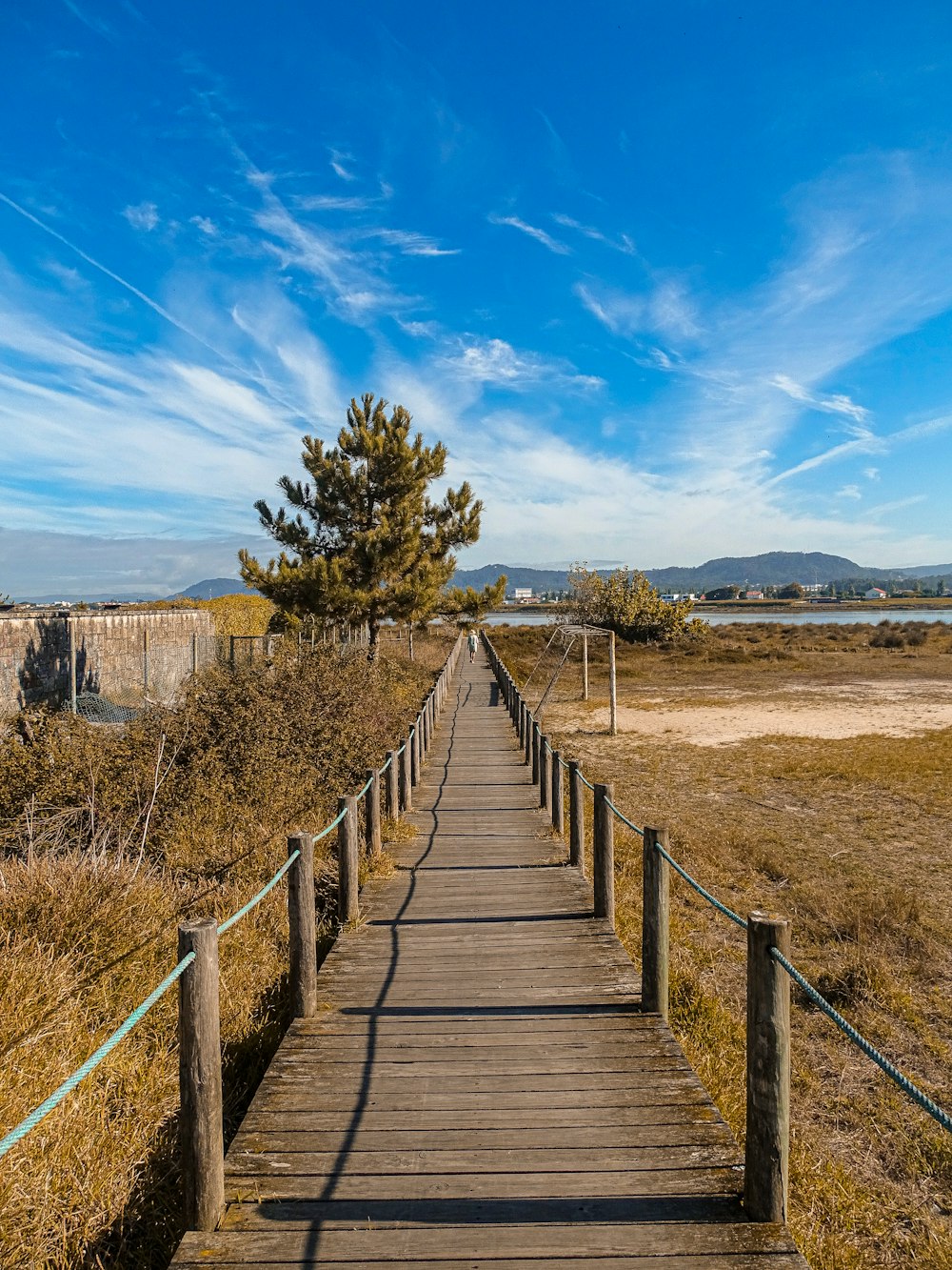 a wooden walkway leading to a tree in a field