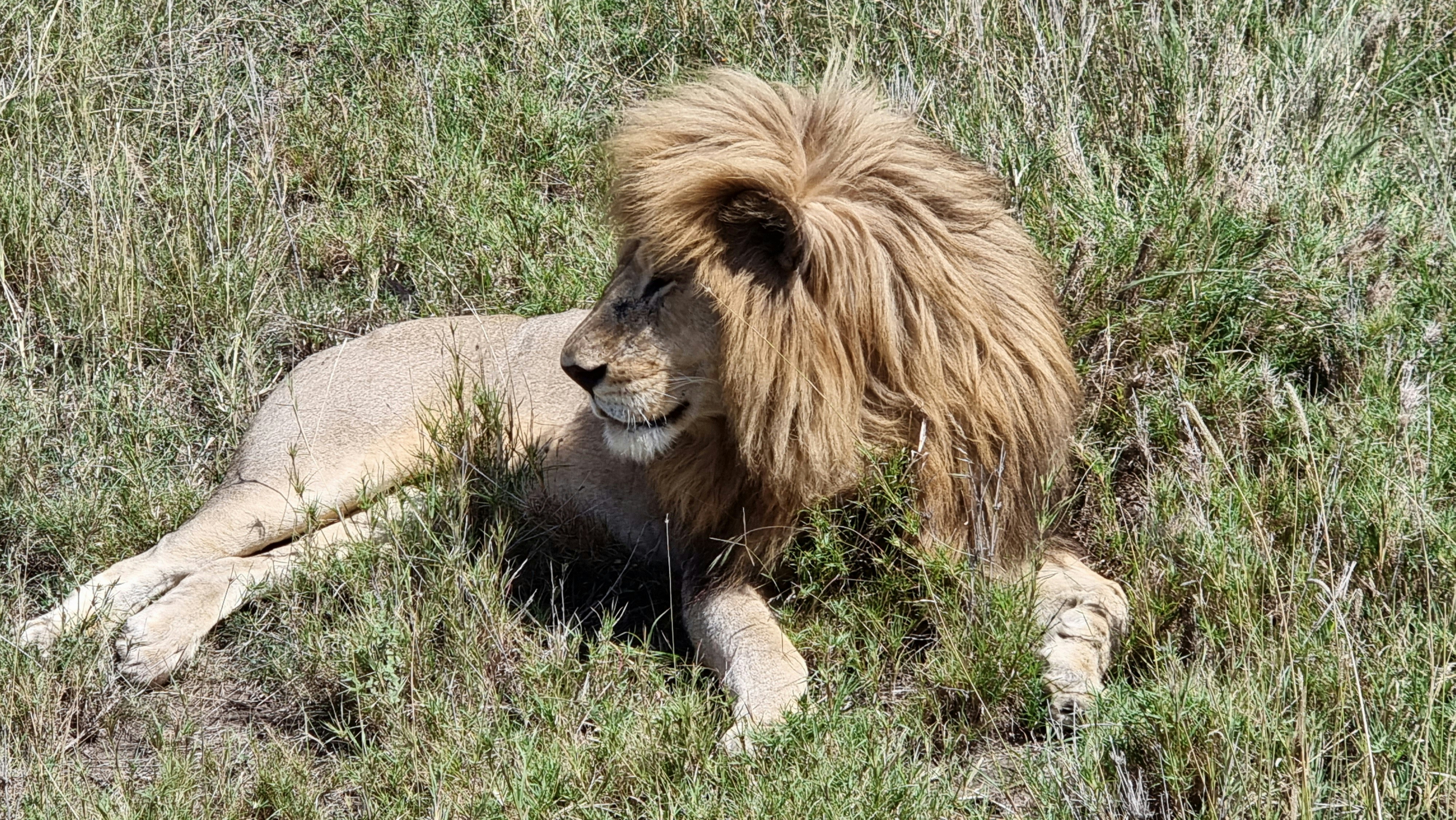 Photo by loeshoumes17