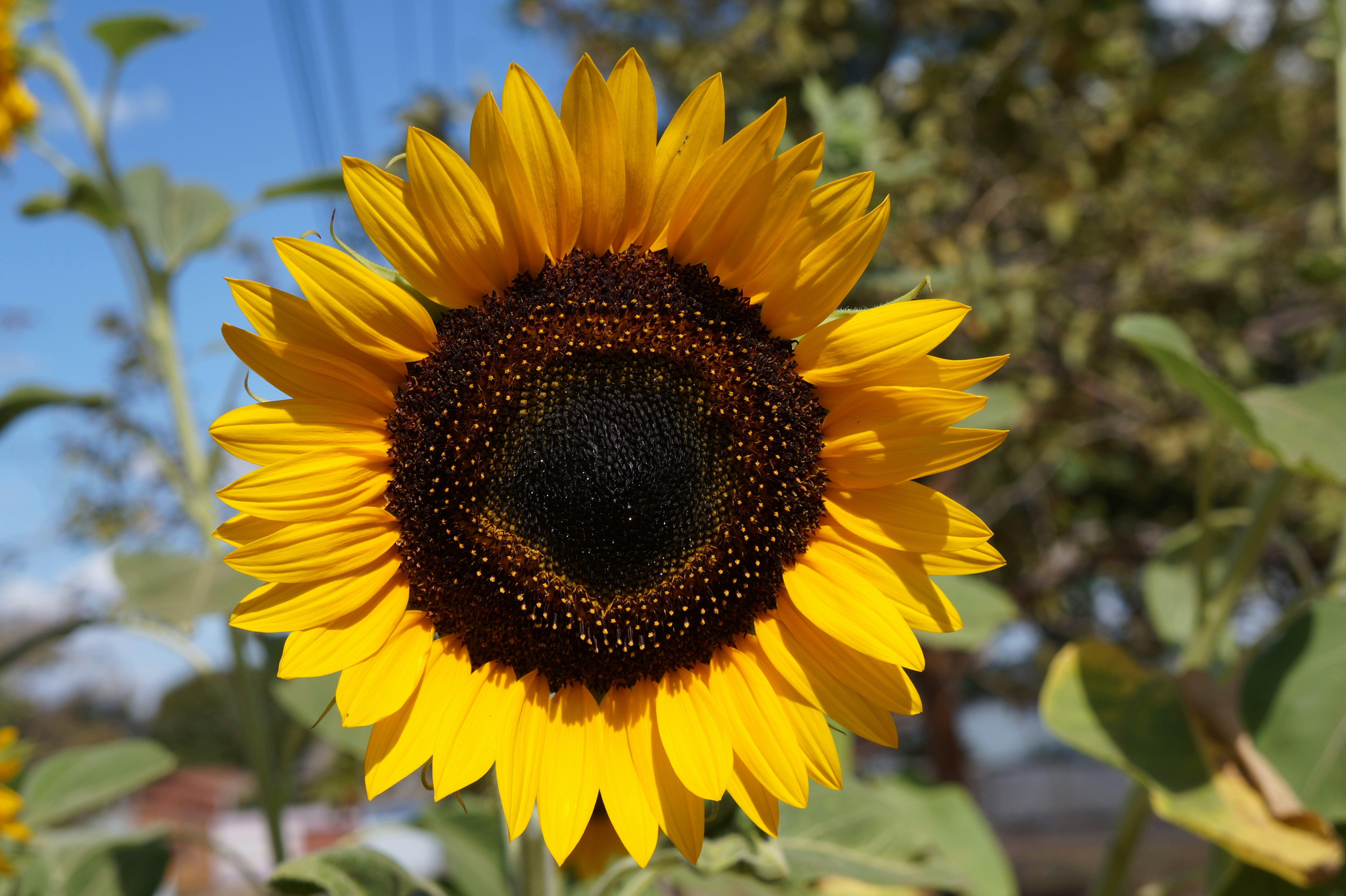 photo-1693574867271-6a051f8c878c?ixid=M3wxMjA3fDB8MXxzZWFyY2h8MTY2fHxhc2NpaSUyMHRvJTIwYmluYXJ5fGVufDB8fHx8MTczOTQwNjk4Mnww%5Cu0026ixlib=rb-4.0.3