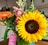 A vibrant bouquet of flowers featuring a large sunflower with bright yellow petals, accompanied by pink snapdragons and an orange gerbera daisy. The bouquet includes greenery and a pink tag with text, celebrating a wedding day. The background shows a cozy indoor setting with framed photos and a white brick wall.