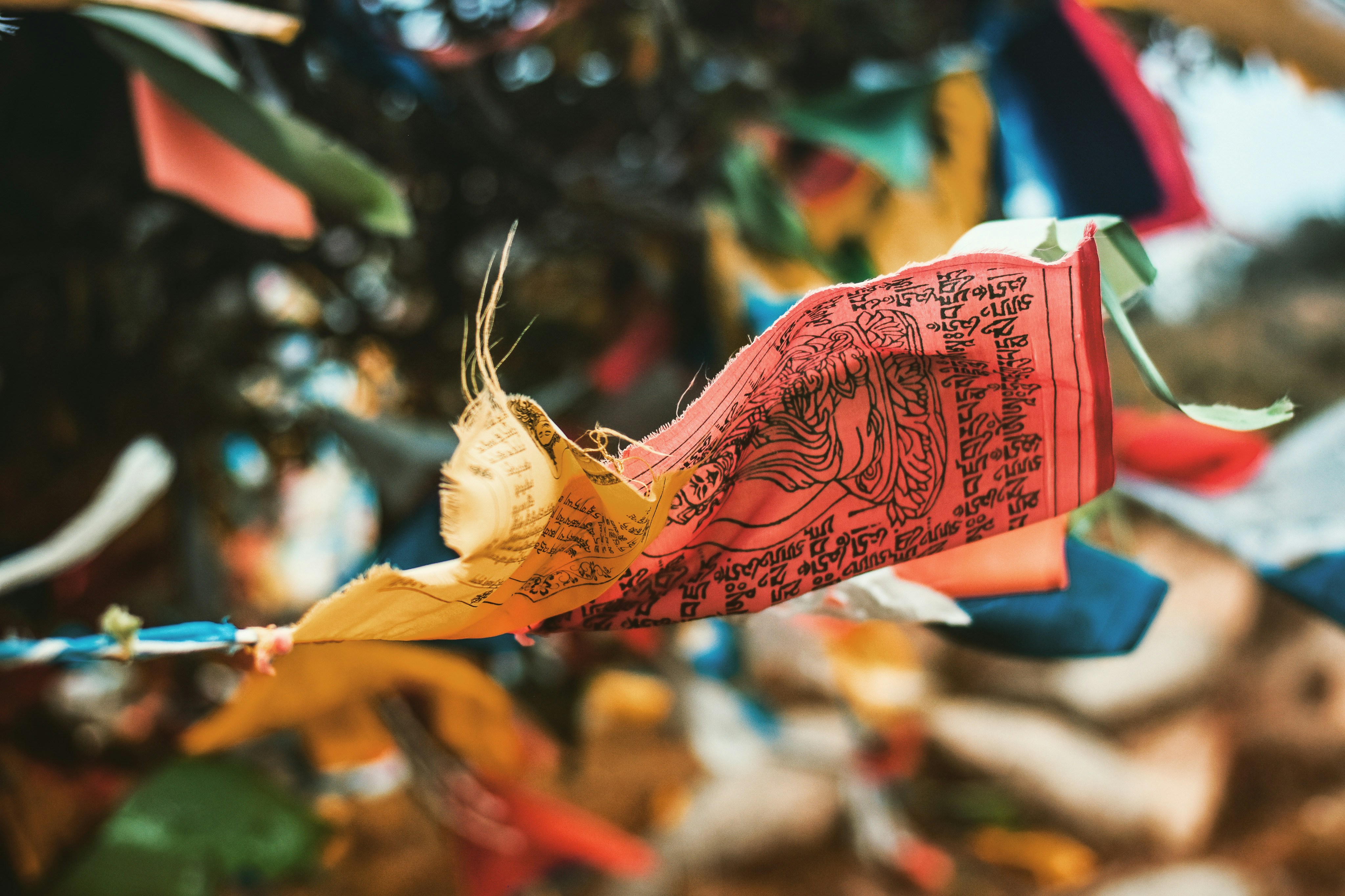 Photo by provvidence