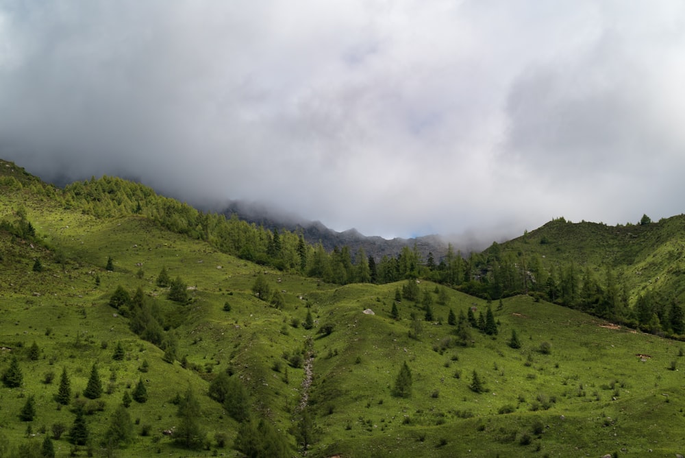 a lush green hillside covered in trees under a cloudy sky