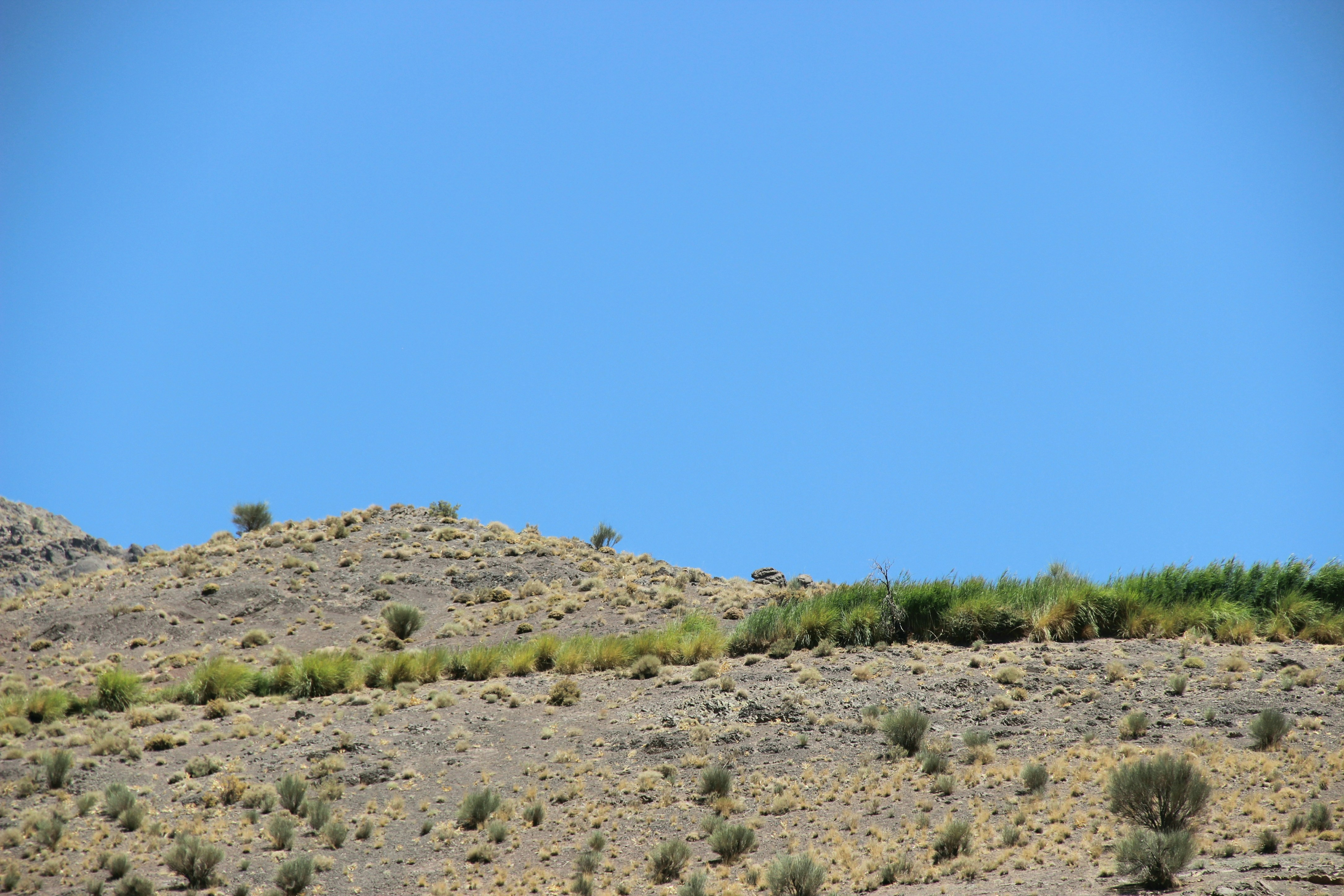 Photo by paris_nature_photo