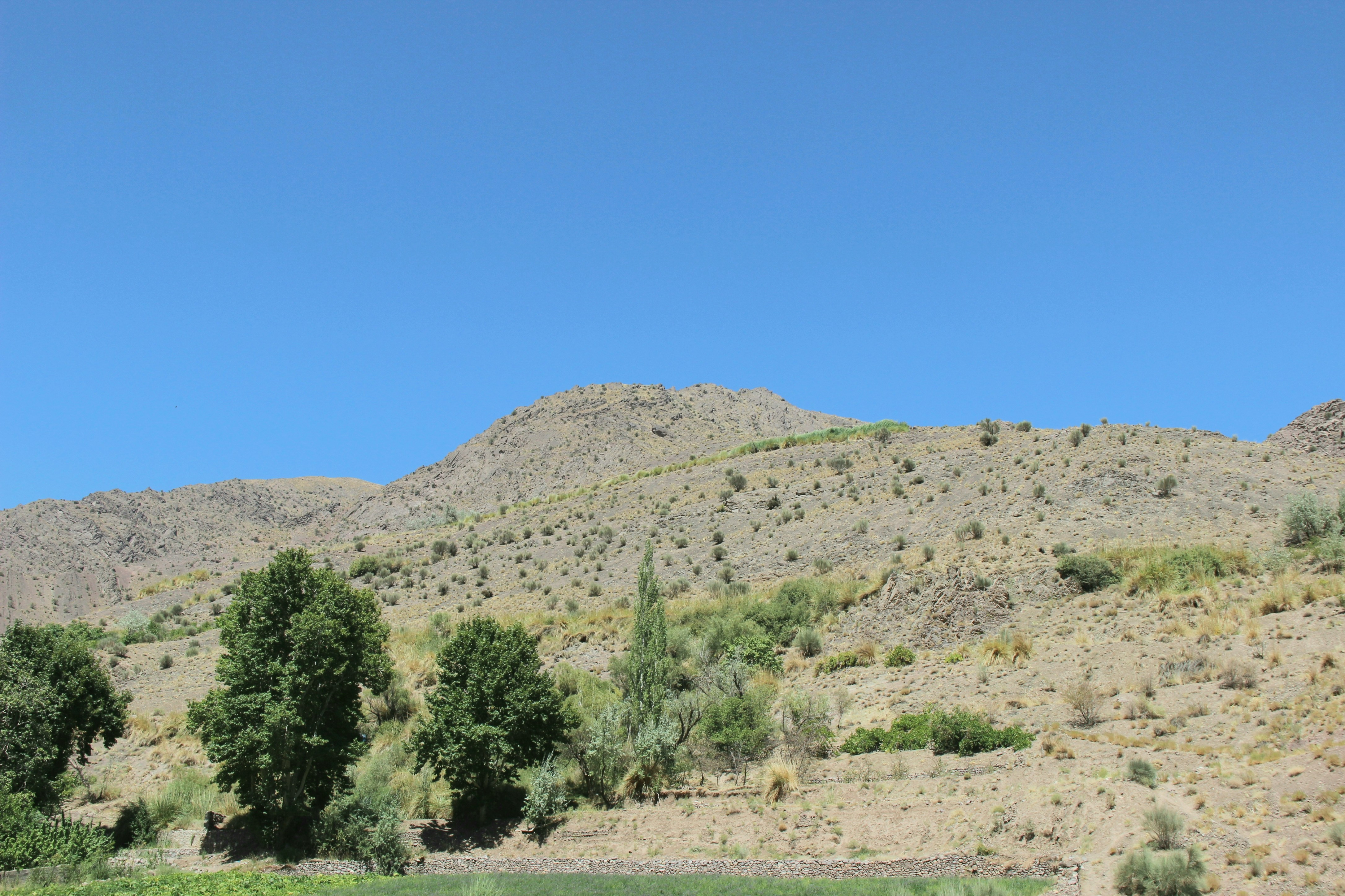 Photo by paris_nature_photo