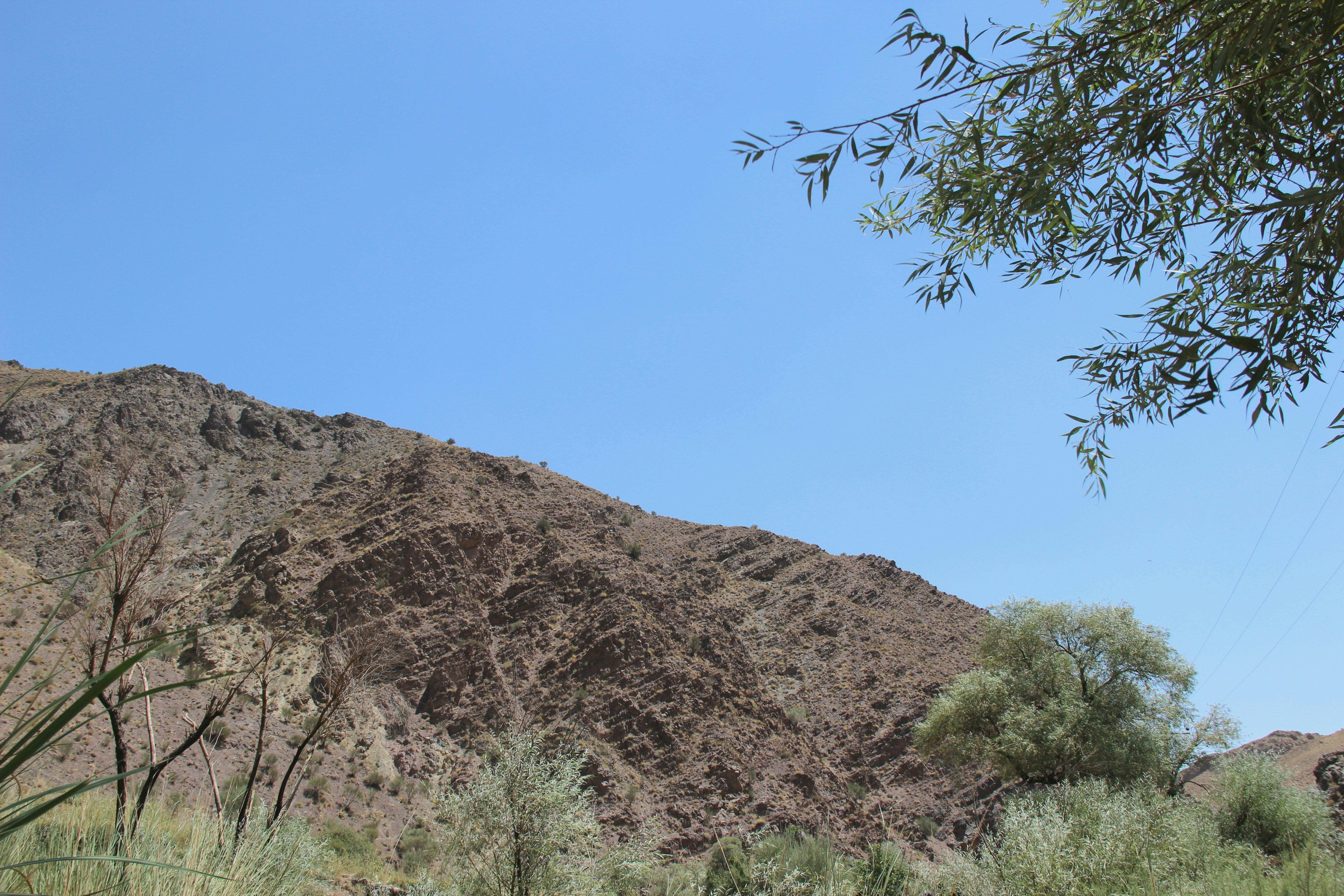 Photo by paris_nature_photo