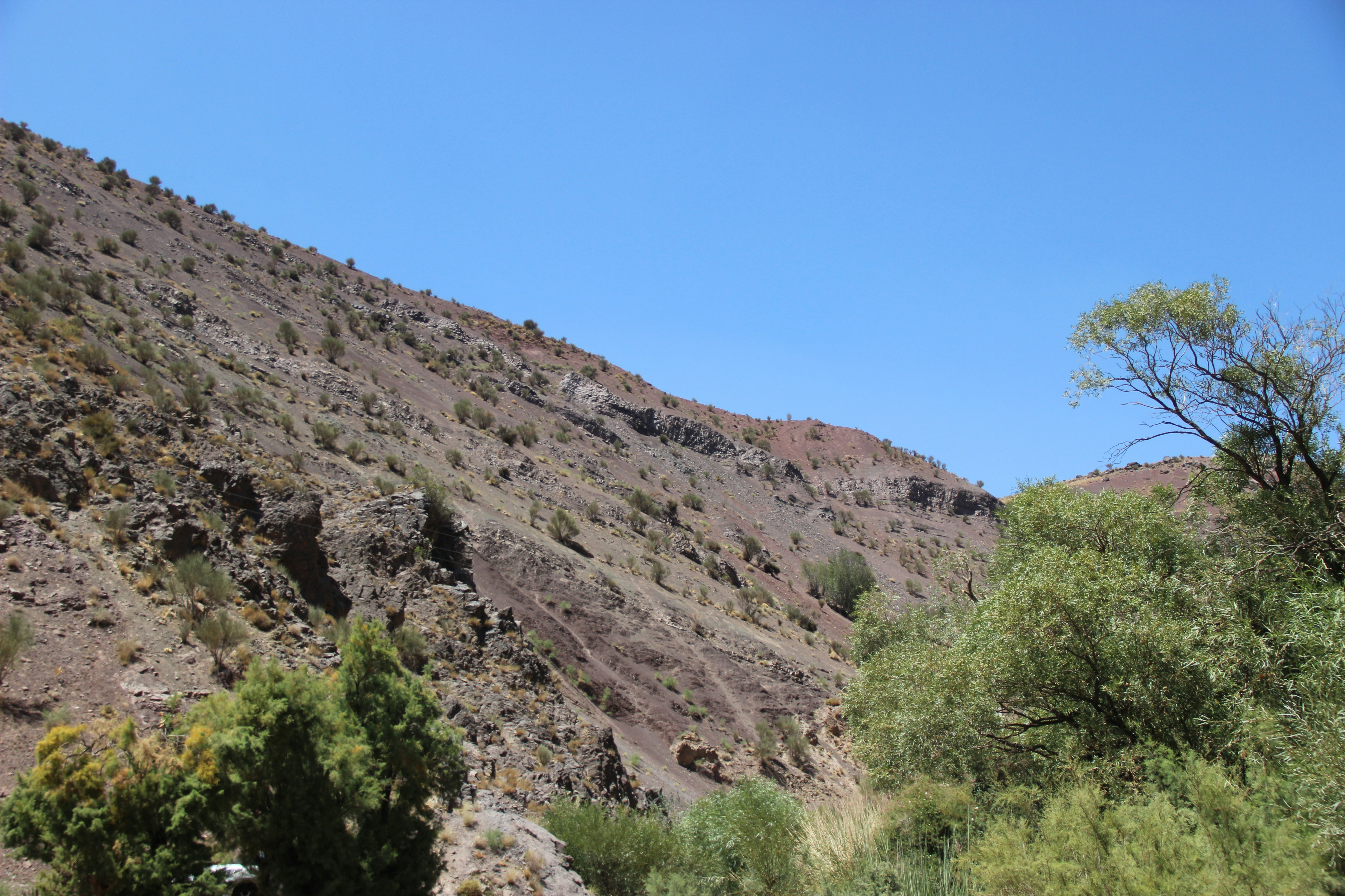 Photo by paris_nature_photo