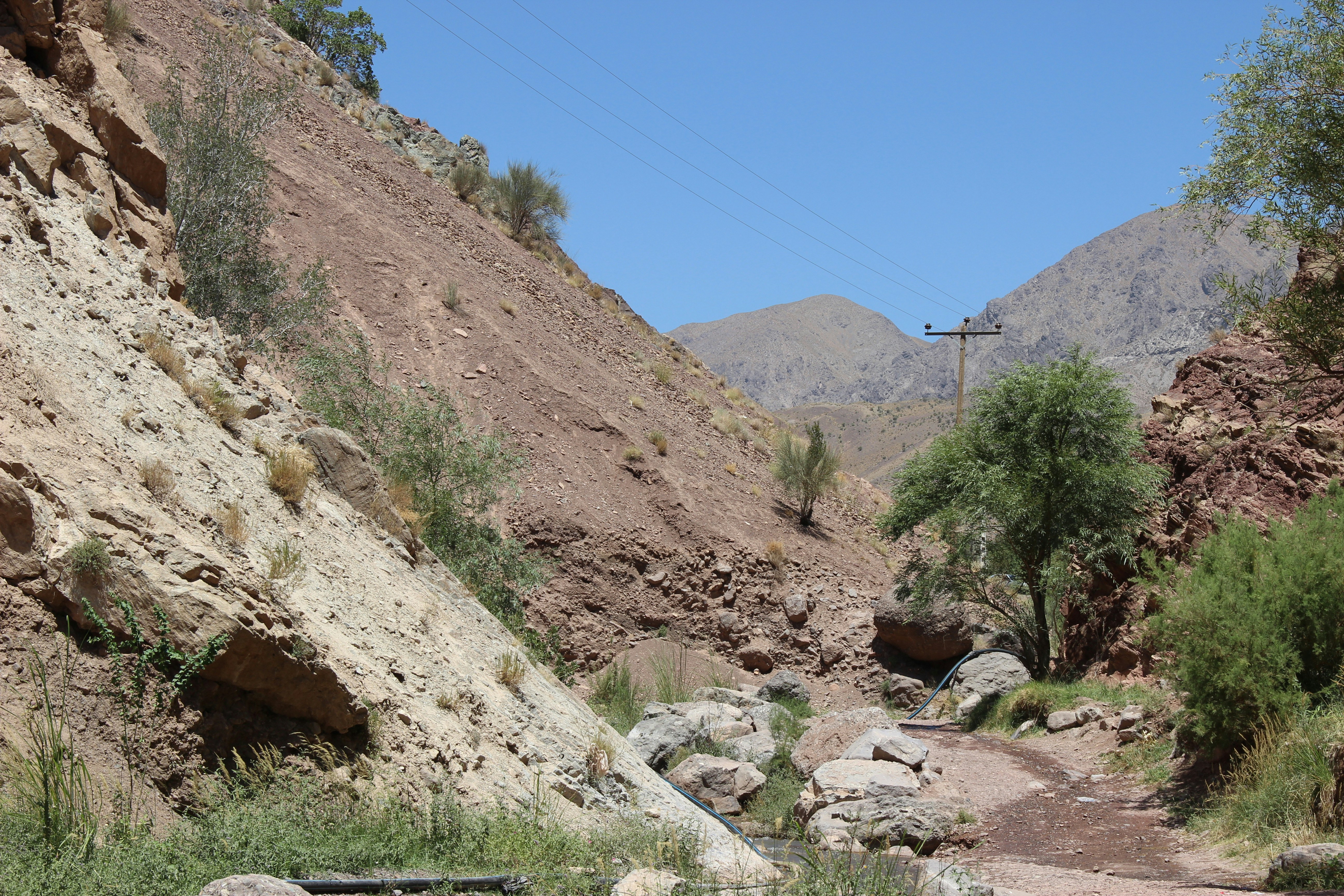 Photo by paris_nature_photo