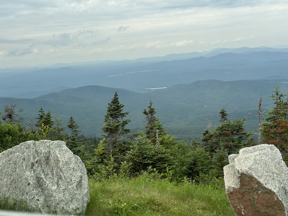 a view of mountains and trees from a hill