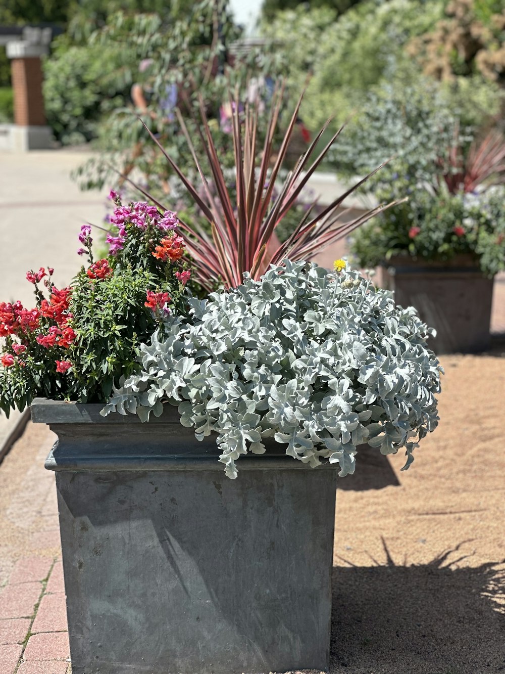 a planter filled with lots of different types of flowers