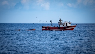 A red and white fishing boat is sailing on a calm and vast blue ocean with several small boats nearby. A flock of birds hovers above the water, creating a serene maritime scene.