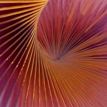 Abstract golden spiral overlaying a deep obsidian background, symbolizing the S.P.I.R.A.L. equation.