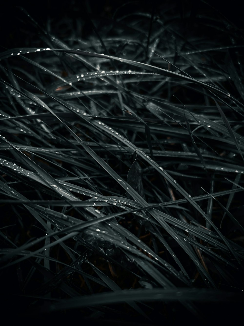 a bunch of water droplets on a black background