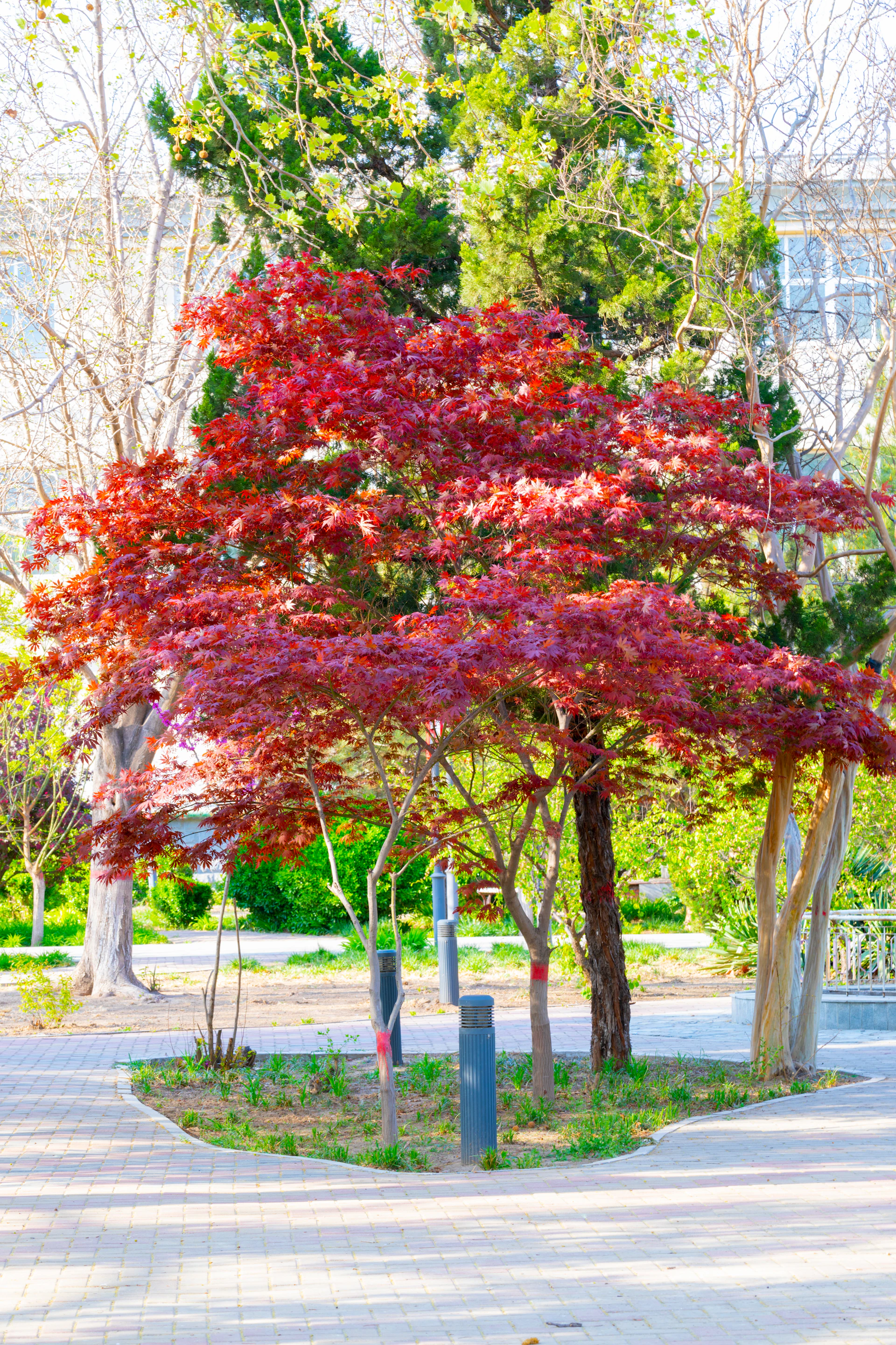 gray computer monitor