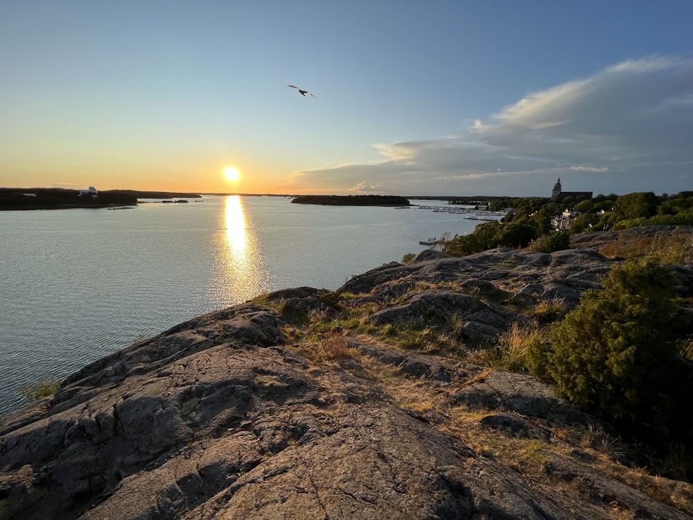 a bird flying over a body of water at sunset