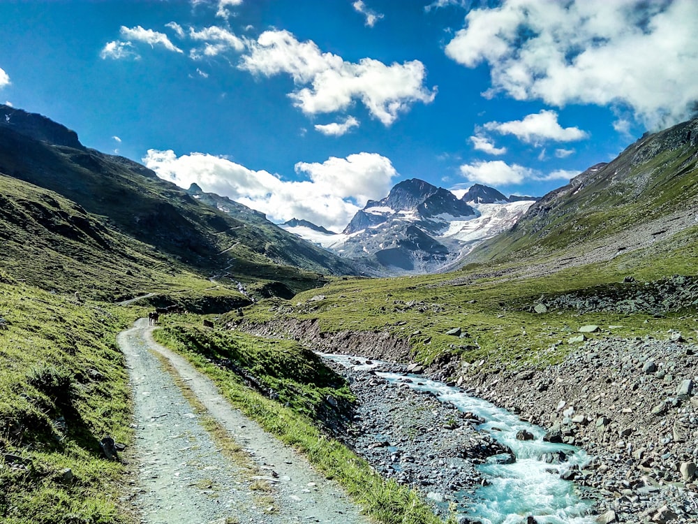 a stream running through a lush green valley