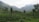 A lush, green landscape of tea plantations stretches across rolling hills. Trees are scattered throughout the foreground, and distant mountains are enveloped in mist, creating a serene atmosphere.
