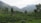 A lush, green landscape of tea plantations stretches across rolling hills. Trees are scattered throughout the foreground, and distant mountains are enveloped in mist, creating a serene atmosphere.