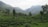 A lush, green landscape of tea plantations stretches across rolling hills. Trees are scattered throughout the foreground, and distant mountains are enveloped in mist, creating a serene atmosphere.