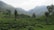 A lush, green landscape of tea plantations stretches across rolling hills. Trees are scattered throughout the foreground, and distant mountains are enveloped in mist, creating a serene atmosphere.